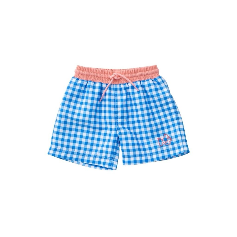 Prodoh Blue and White Gingham Swim Shorts